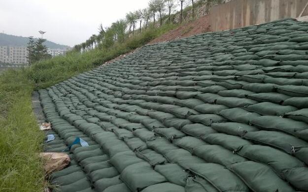 護坡生態(tài)袋 護坡生態(tài)袋