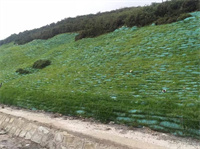 成都生態(tài)袋 成都生態(tài)袋